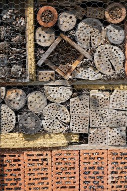 Bir böcek oteli çeşitli malzemelerden kolayca yapılabilir ve böcekleri izlemede çok iyidir.                         