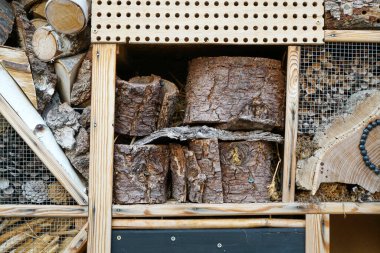 Bir böcek oteli çeşitli malzemelerden kolayca yapılabilir ve böcekleri izlemede çok iyidir.                         