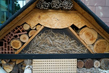 Bir böcek oteli çeşitli malzemelerden kolayca yapılabilir ve böcekleri izlemede çok iyidir.                         