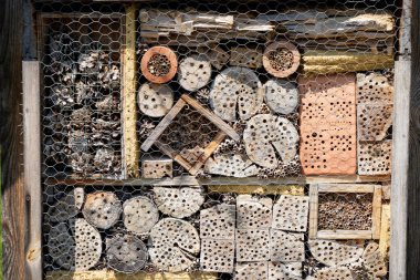 Bir böcek oteli çeşitli malzemelerden kolayca yapılabilir ve böcekleri izlemede çok iyidir.                         