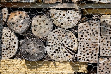 Bir böcek oteli çeşitli malzemelerden kolayca yapılabilir ve böcekleri izlemede çok iyidir.                         