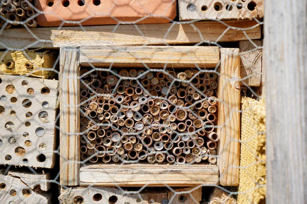 An insect hotel can be easily made from a variety of materials and is very good at watching the insects