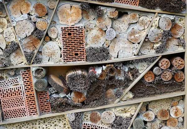Bir böcek oteli çeşitli malzemelerden kolayca yapılabilir ve böcekleri izlemede çok iyidir.                         