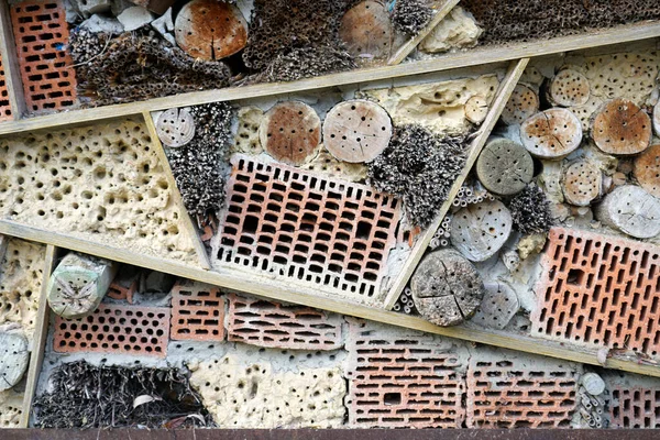 Hotel Insectos Puede Hacer Fácilmente Partir Una Variedad Materiales Muy —  Fotos de Stock