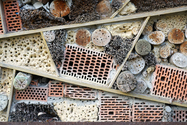 An insect hotel can be easily made from a variety of materials and is very good at watching the insects                         