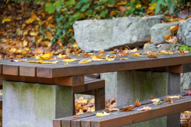 Masalardaki banklar ve sandalyeler seni rahatlamaya ve gevşemeye davet ediyor.                            