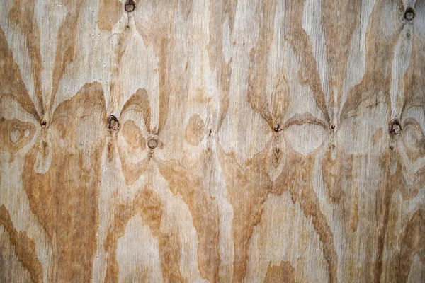 Přírodní Dřevo Hrubou Konstrukcí Fotografováno Venku Denního Světla — Stock fotografie