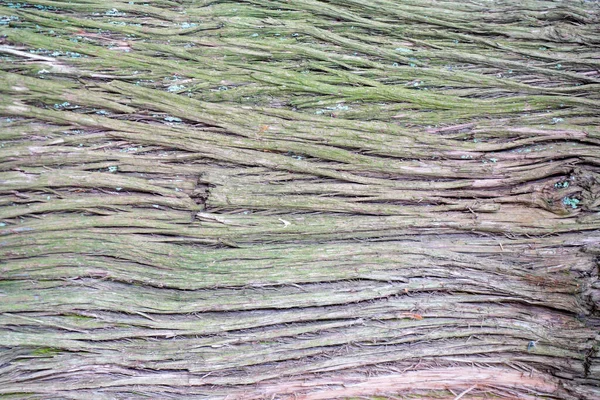 Natuurlijk Hout Met Een Ruwe Structuur Overdag Gefotografeerd — Stockfoto