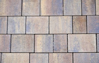 Stüdyoda çekilen grafiksel elementler arka plan için doğal ışık sağlıyor.                        