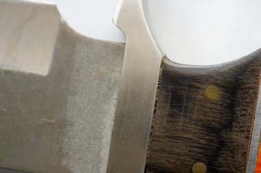 Stüdyoda çekilen grafiksel elementler arka plan için doğal ışık sağlıyor.                        