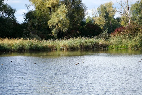 Ufer Eines Flusses Bayern Detailliert Fotografiert — Stockfoto