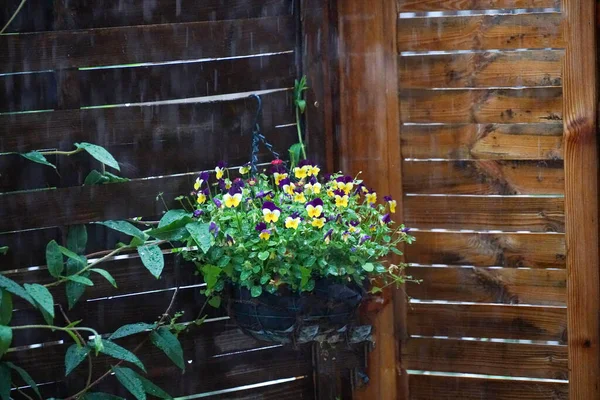 Lluvia Con Gotitas Agua Salpicadas Fotografiadas Primavera Alemania —  Fotos de Stock