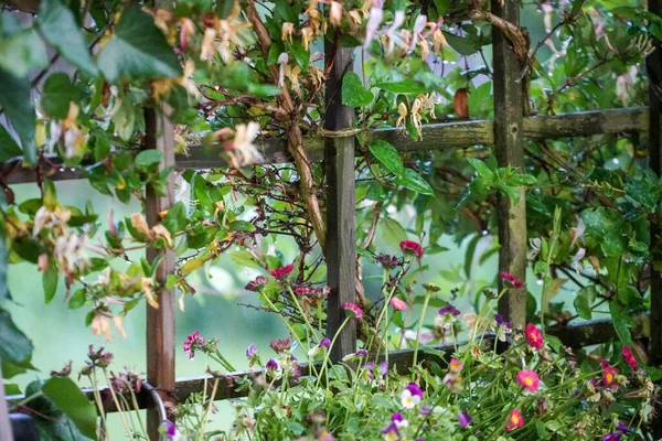 Regen Met Opspattend Water Druppels Gefotografeerd Het Voorjaar Duitsland — Stockfoto