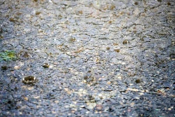 Deszcz Rozpryskanymi Kroplami Wody Sfotografowanymi Wiosną Niemczech — Zdjęcie stockowe