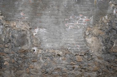 Küflü duvar, gün ışığında yosun fotoğrafıyla kaplanmış.