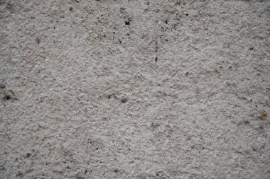 Küflü duvar, gün ışığında yosun fotoğrafıyla kaplanmış.