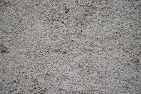 Küflü duvar, gün ışığında yosun fotoğrafıyla kaplanmış.