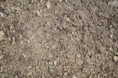 Arkaplan yapısı, arka plan için modern desenler ve renkler kullanılarak stüdyoda fotoğraflandı