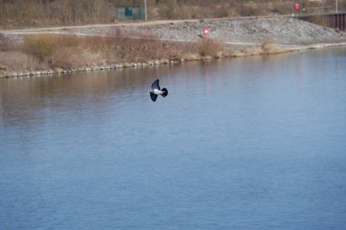    Tuna Nehri ve eski suları Regensburg yakınlarındaki Bavyera 'da fotoğraflanmıştır.                            
