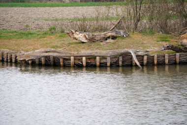    Tuna Nehri ve eski suları Regensburg yakınlarındaki Bavyera 'da fotoğraflanmıştır.                            