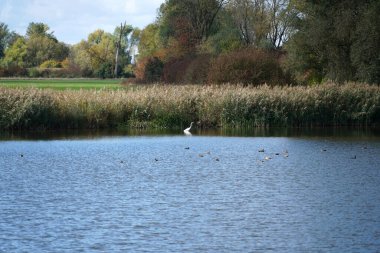    Tuna Nehri ve eski suları Regensburg yakınlarındaki Bavyera 'da fotoğraflanmıştır.                            