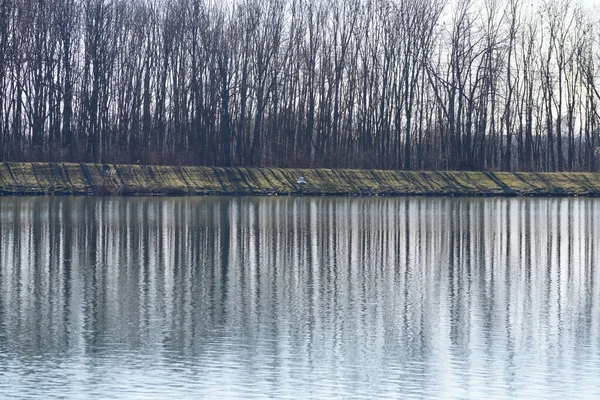 다뉴브강과 호수들이 레겐스부르크 근처의 바이에른에서 사진화되어 — 스톡 사진