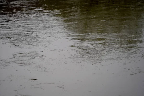 Danubio Sue Vecchie Acque Sono Fotografati Baviera Vicino Ratisbona — Foto Stock