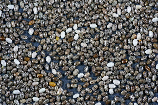 Chia Seeds Photographed Studio Detail Black Background — Stock Photo, Image