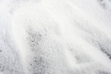 Makro mercekli un stüdyoda renkli gradyan karşısında fotoğraflandı