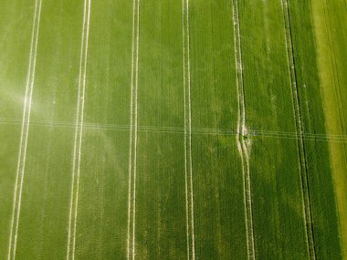 Baharda Bavyera 'da ekilen tahıllı bir tarım arazisinin havadan görünüşü