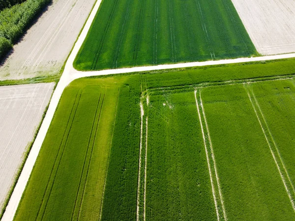 巴伐利亚春季种有谷物的农田的空中景观 — 图库照片