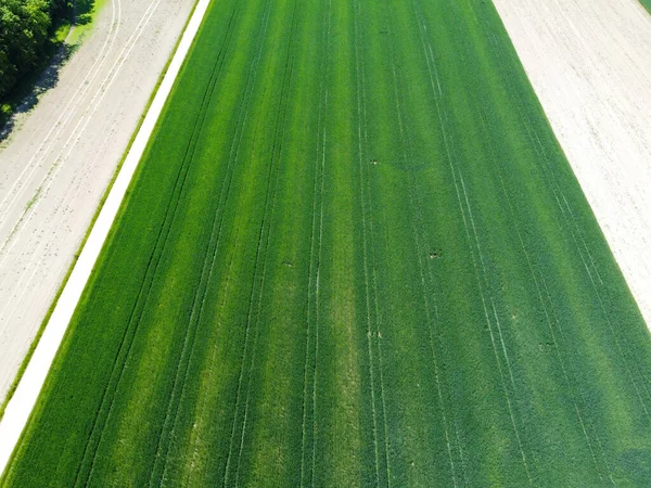 巴伐利亚春季种有谷物的农田的空中景观 — 图库照片