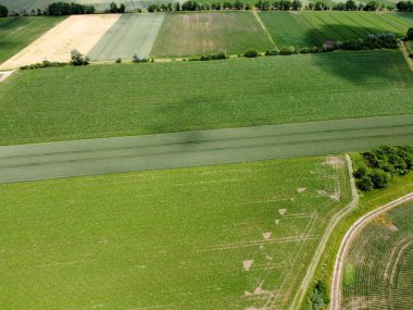Baharda Bavyera 'da ekilen tahıllı bir tarım arazisinin havadan görünüşü