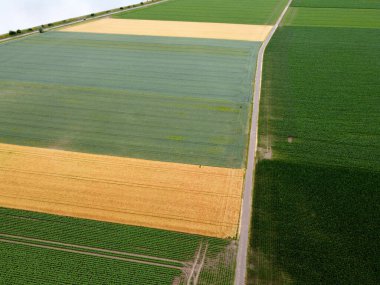 Baharda Bavyera 'da ekilen tahıllı bir tarım arazisinin havadan görünüşü