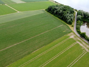Baharda Bavyera 'da ekilen tahıllı bir tarım arazisinin havadan görünüşü