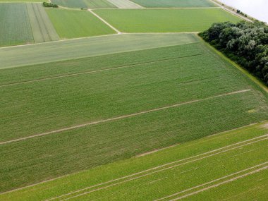 Baharda Bavyera 'da ekilen tahıllı bir tarım arazisinin havadan görünüşü