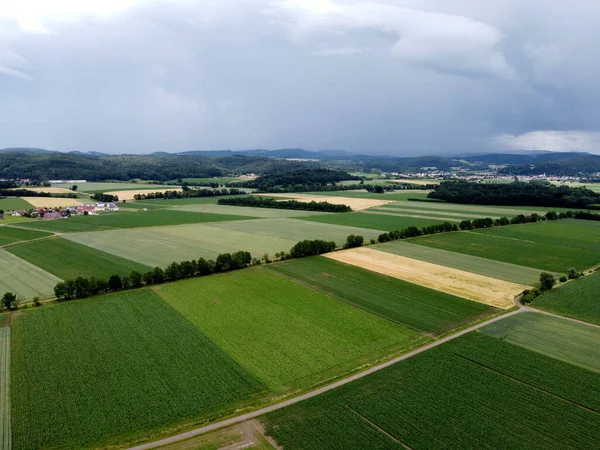 Aerial View Agricultural Field Grain Planted Spring Bavaria — Stock Photo, Image