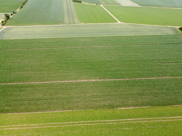 Luftaufnahme Eines Landwirtschaftlichen Feldes Mit Frühjahr Gepflanztem Getreide Bayern — Stockfoto