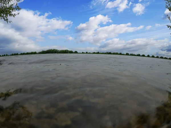 Donau Und Ihre Alten Gewässer Werden Bayern Fotografiert — Stockfoto