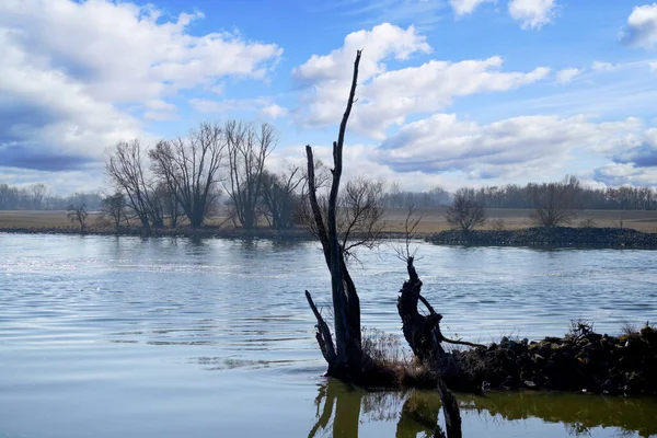 Rio Danúbio Suas Águas Antigas São Fotografadas Baviera — Fotografia de Stock