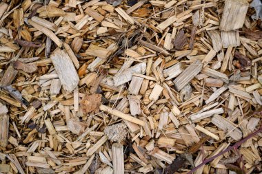 Ahşap arka plan olarak iyi bir kırsal yapı, gün ışığında fotoğraflanmış.                