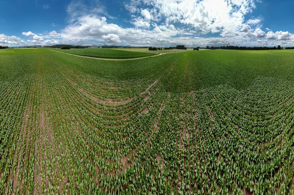 Abstrakt Panoramautsikt Över Luften Skog Och Fält Med Fantastiska Vackra — Stockfoto