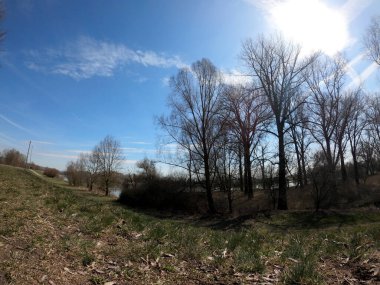 İklim krizi ve orman gerilemesi Almanya ve Bavyera 'daki ormanları çok kötü vurdu ve 2021' de fotoğraflandı.