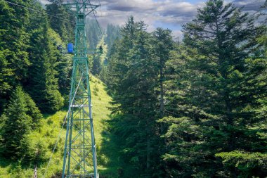 İklim krizi ve orman gerilemesi Almanya ve Bavyera 'daki ormanları çok kötü vurdu ve 2021' de fotoğraflandı.