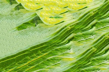 Renkli boya ile karıştırılmış cam arkaplan resmi, yaratıcı düzenleme                             