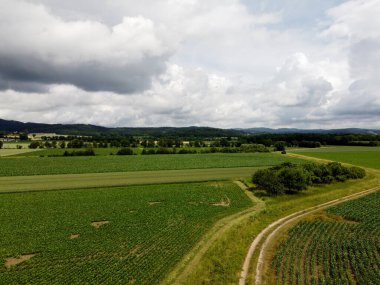 Baharda Bavyera 'da ekilen tahıllı bir tarım arazisinin havadan görünüşü
