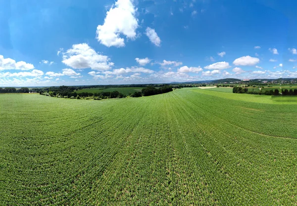 Luftaufnahme Eines Landwirtschaftlichen Feldes Mit Frühjahr Gepflanztem Getreide Bayern — Stockfoto