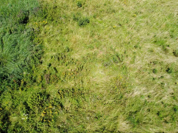 Vista Aérea Campo Agrícola Com Grãos Plantados Primavera Baviera — Fotografia de Stock