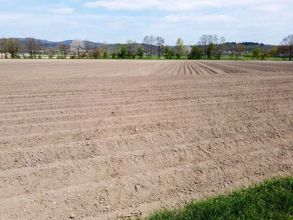 Baharda Bavyera 'da ekilen tahıllı bir tarım arazisinin havadan görünüşü