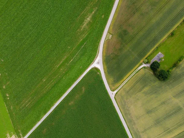 Flygfoto Ett Jordbruksfält Med Spannmål Planterad Våren Bayern — Stockfoto